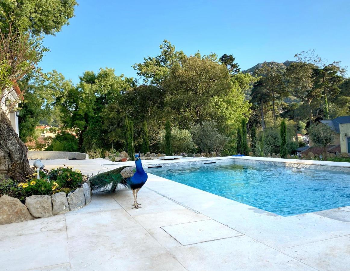 A Capela - A Essencia De Sintra Villa Ngoại thất bức ảnh